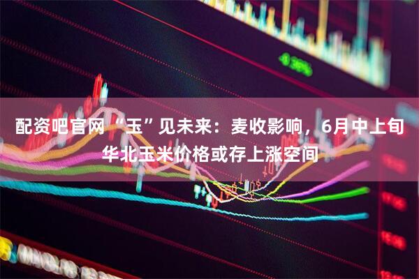 配资吧官网 “玉”见未来：麦收影响，6月中上旬华北玉米价格或存上涨空间