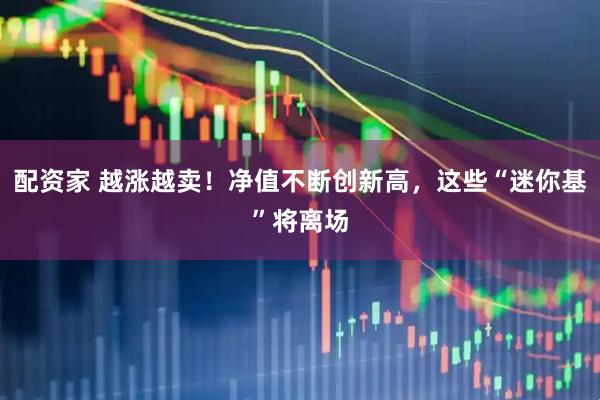 配资家 越涨越卖！净值不断创新高，这些“迷你基”将离场