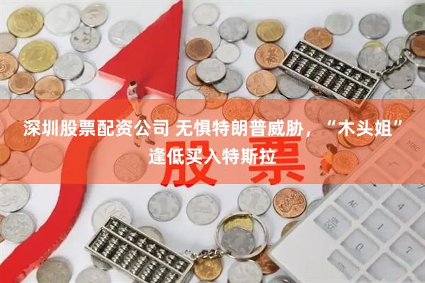 深圳股票配资公司 无惧特朗普威胁，“木头姐”逢低买入特斯拉