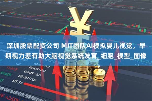 深圳股票配资公司 MIT团队AI模拟婴儿视觉，早期视力差有助大脑视觉系统发育_细胞_模型_图像