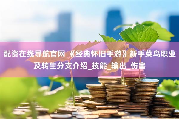 配资在线导航官网 《经典怀旧手游》新手菜鸟职业及转生分支介绍_技能_输出_伤害
