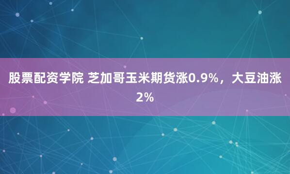 股票配资学院 芝加哥玉米期货涨0.9%，大豆油涨2%